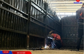 GIA CỐ MOOC LỒNG CIMC