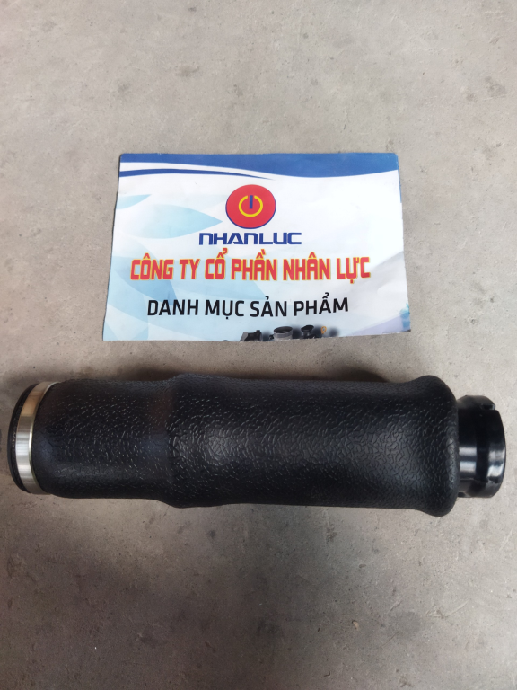 Bầu hơi ghế International Prostar