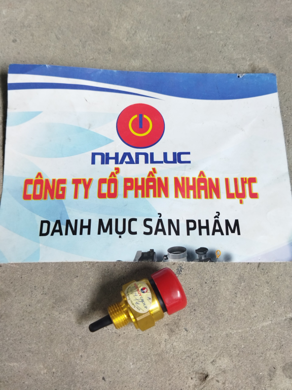 Cảm biến nhiệt độ khí đường ống nạp xe đầu kéo mỹ International 62274210165